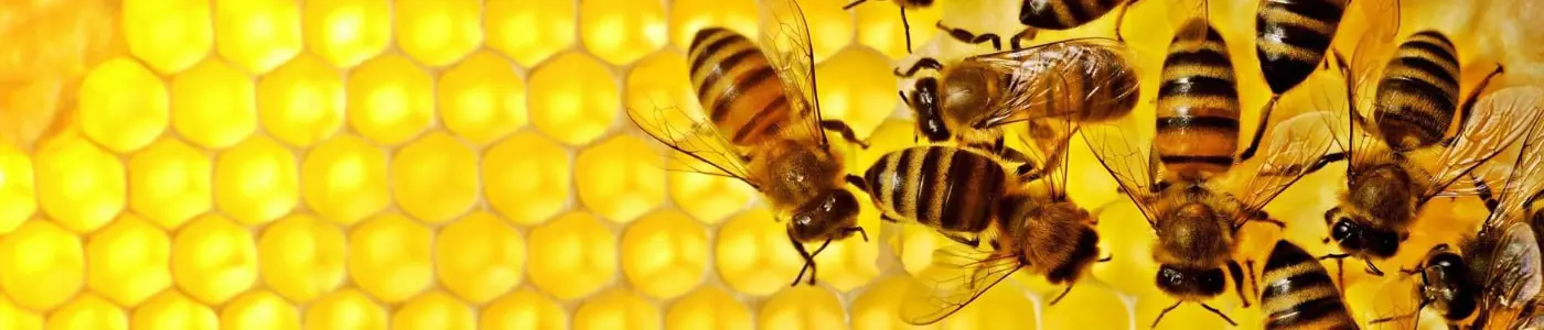 oprema za pčelarstvo
